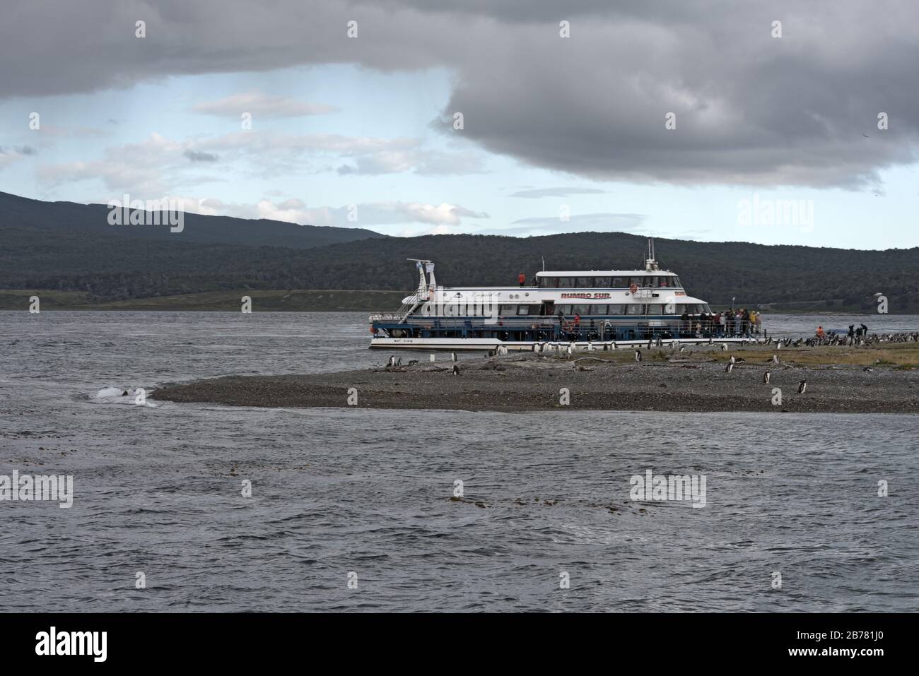 Bateau touristique sur l'île Bird dans la Manche Beagle à l'est d'Ushuaia, Tierra del Fuego, Argentine Banque D'Images