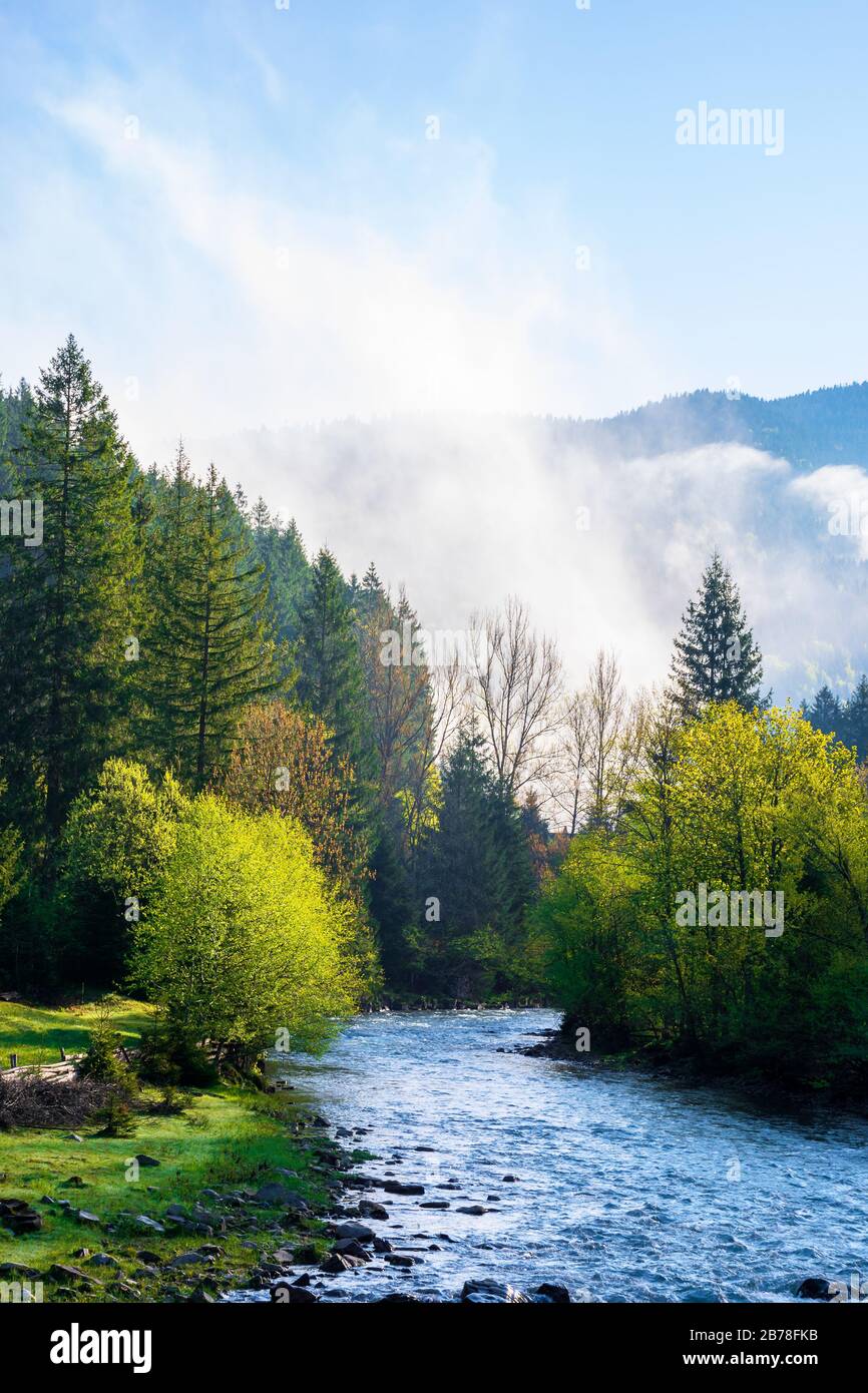 La Montagne Sur Un Lever De Soleil Misteux Fantastique Nature Avec Brouillard Roulant Au Dessus Des Arbres Dans Le Feuillage Vert Frais Sur Le Rivage Au Loin Beau Co Photo Stock Alamy