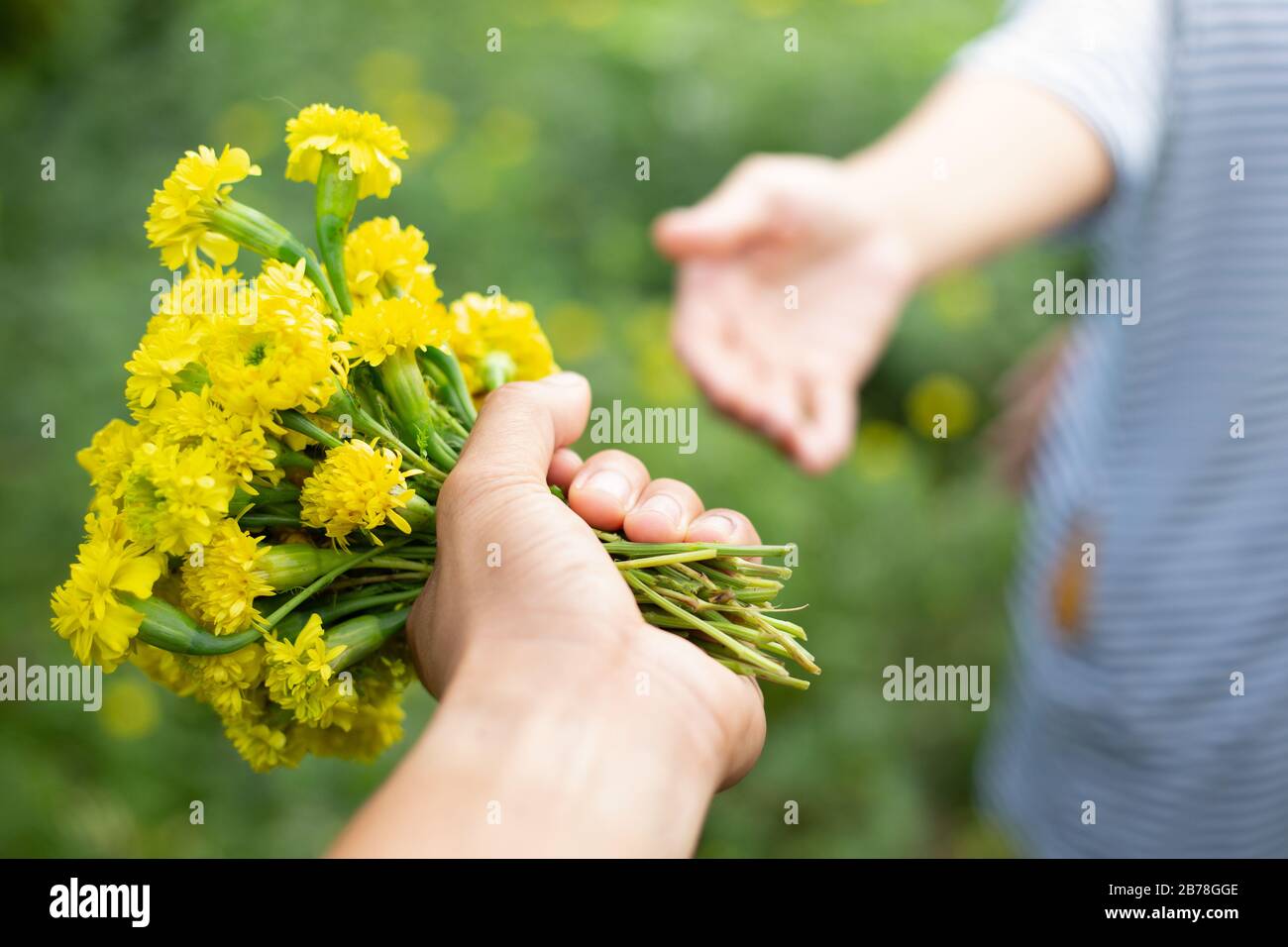 Donner des fleurs de la main d'un homme à une femme Banque D'Images