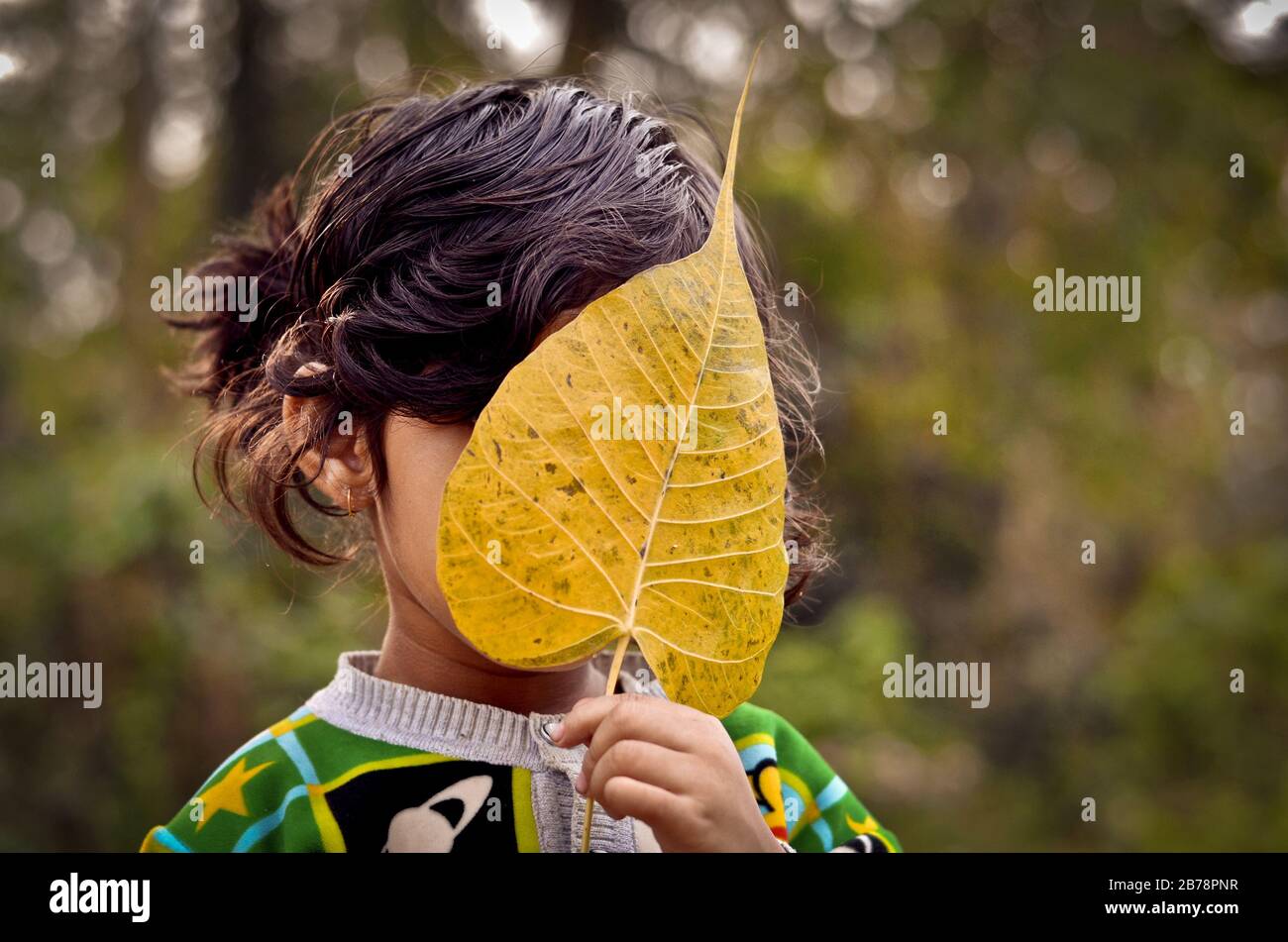 Un gamin timide masque son visage avec une feuille Banque D'Images