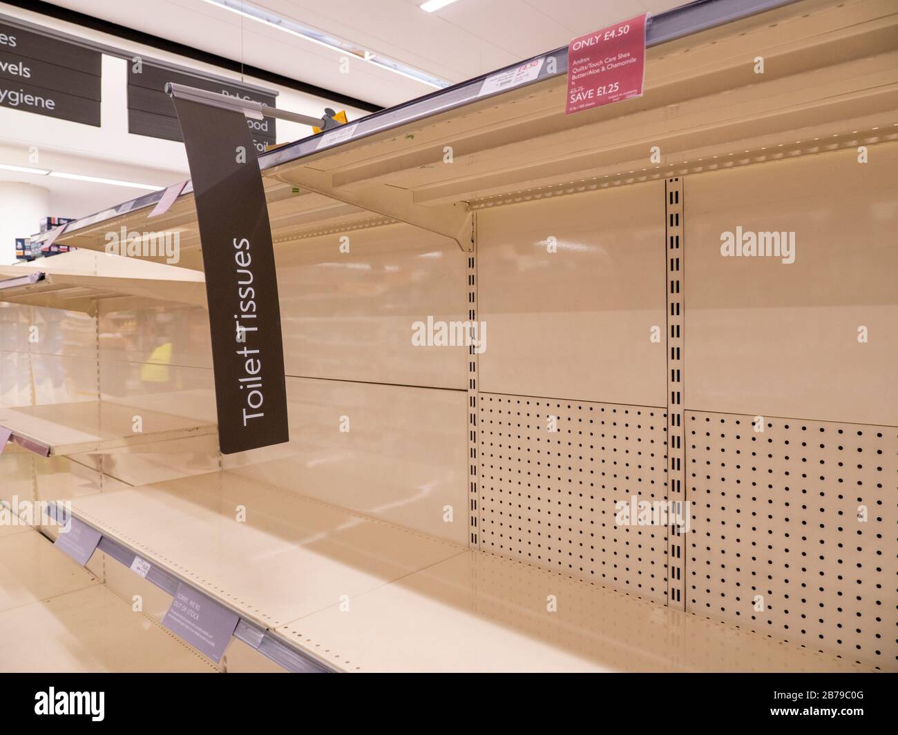 Ely Cambridgeshire, Royaume-Uni. 14 mars 2020. Des étagères vides pour les rouleaux de toilettes dans le supermarché Waitrose au milieu de la journée un samedi. Les gens continuent de paniquer acheter du papier toilette en réponse à la poursuite de l'épidémie de coronavirus ou de Covid 19 au Royaume-Uni. Crédit: Julian Eales/Alay Live News Banque D'Images