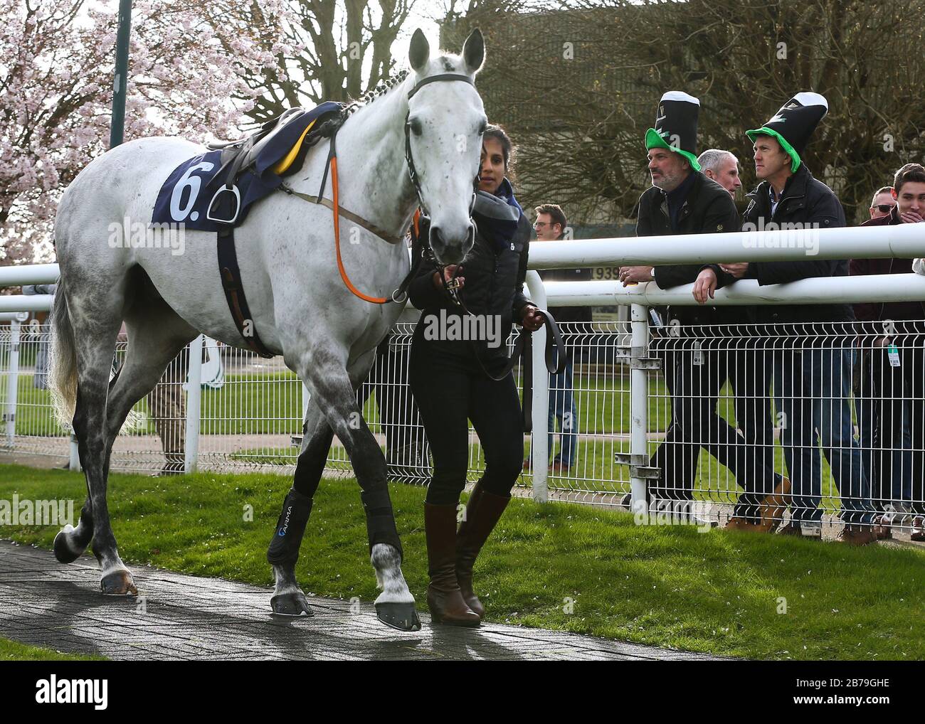 Les amateurs de course à St Patricks déguisaient des chapeaux pour regarder le cheval dans l'anneau de parade à l'hippodrome de Fontwell. Banque D'Images