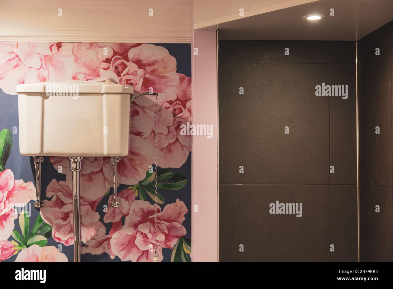 Vue intérieure d'une salle de bains avec un intérieur rose et un flash de toilette blanc sur le mur Banque D'Images