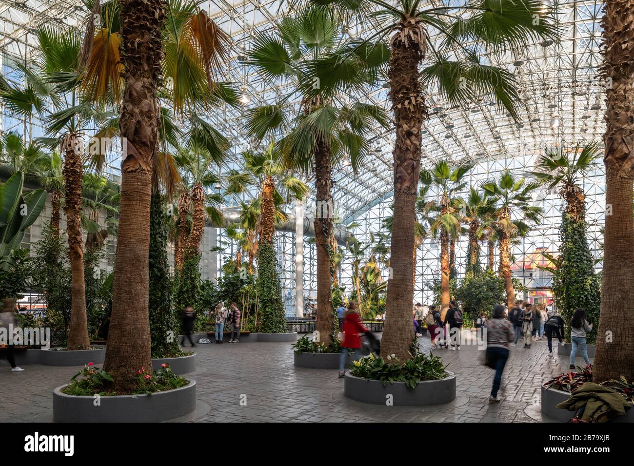 Navy Pier Banque D'Images