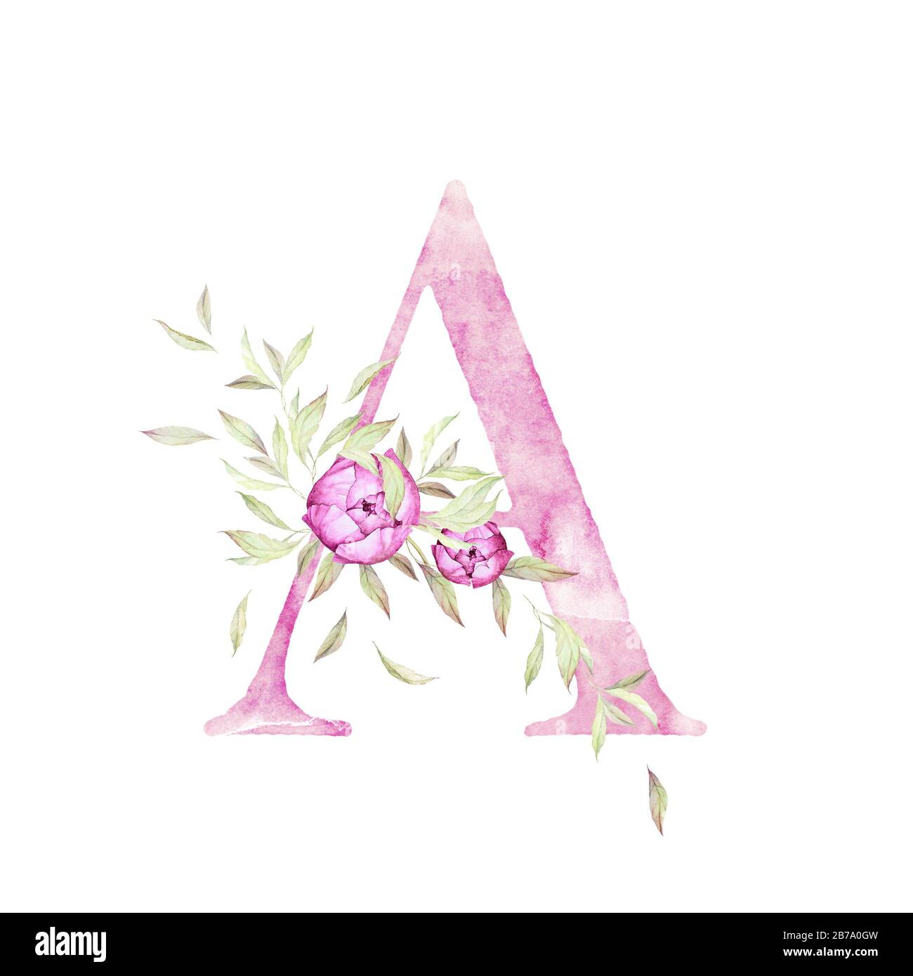Grande lettre A. Alphabet. Rose clair. Décor floral. Aquarelle. Fond blanc. Qualité d'impression Banque D'Images
