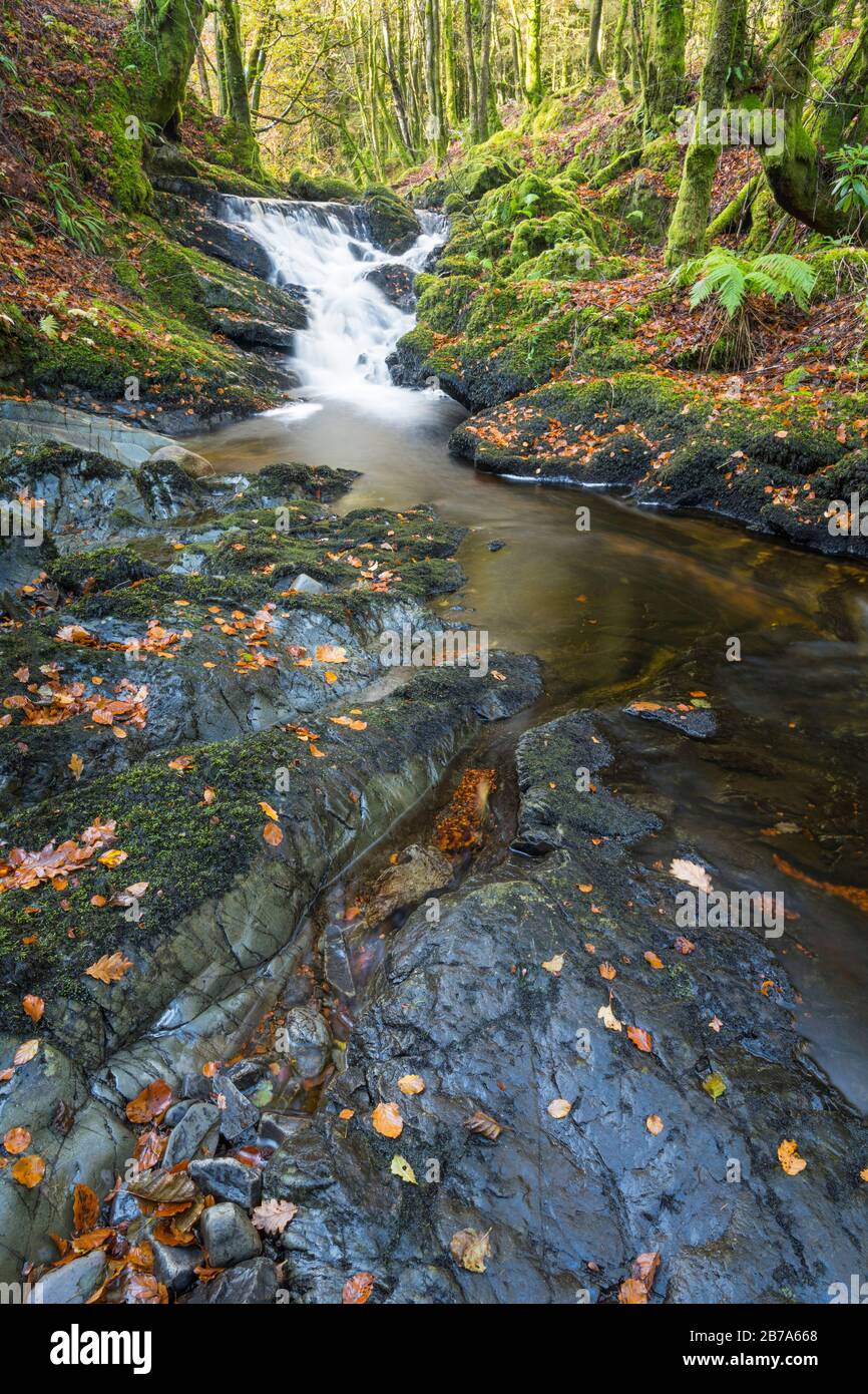 Kennick Burn, près de Laurieston, Galloway Forest, Dumfries & Galloway, Écosse Banque D'Images