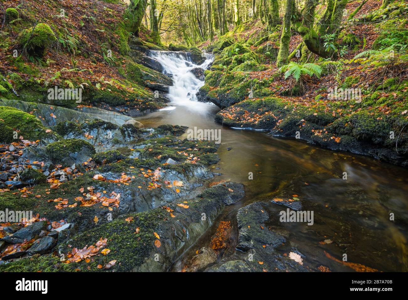 Kennick Burn, près de Laurieston, Galloway Forest, Dumfries & Galloway, Écosse Banque D'Images