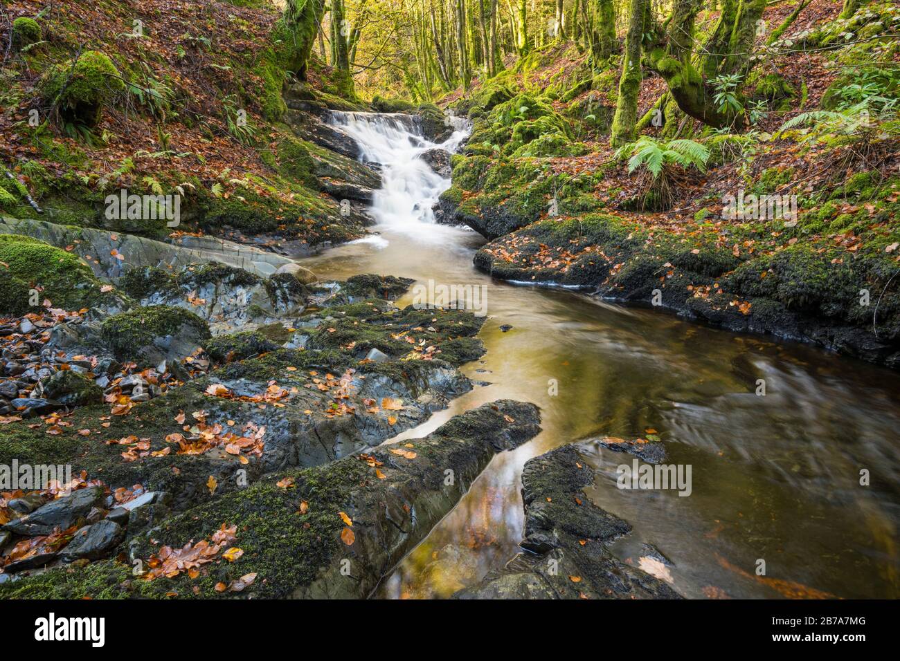 Kennick Burn, près de Laurieston, Galloway Forest, Dumfries & Galloway, Écosse Banque D'Images