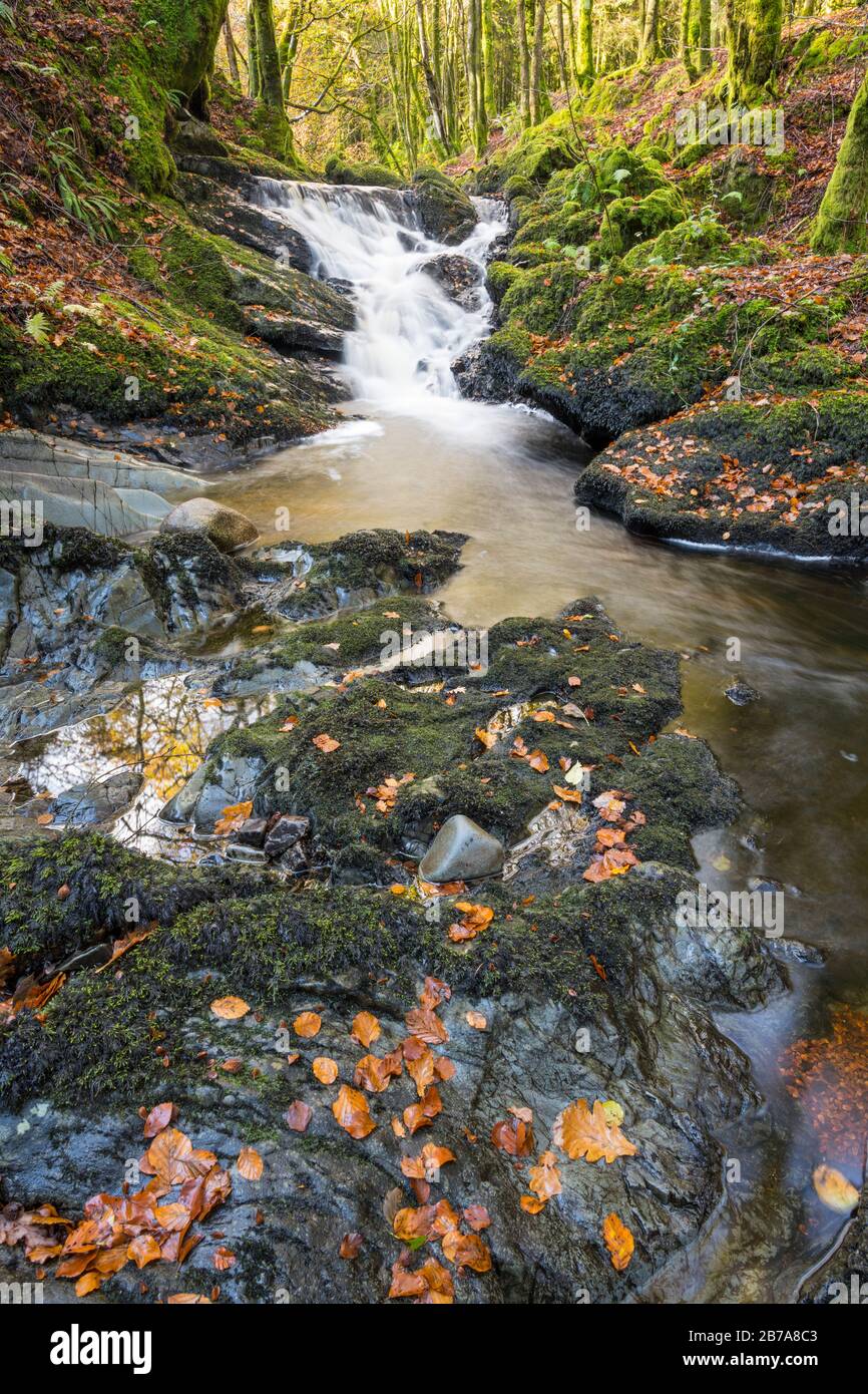 Kennick Burn, près de Laurieston, Galloway Forest, Dumfries & Galloway, Écosse Banque D'Images