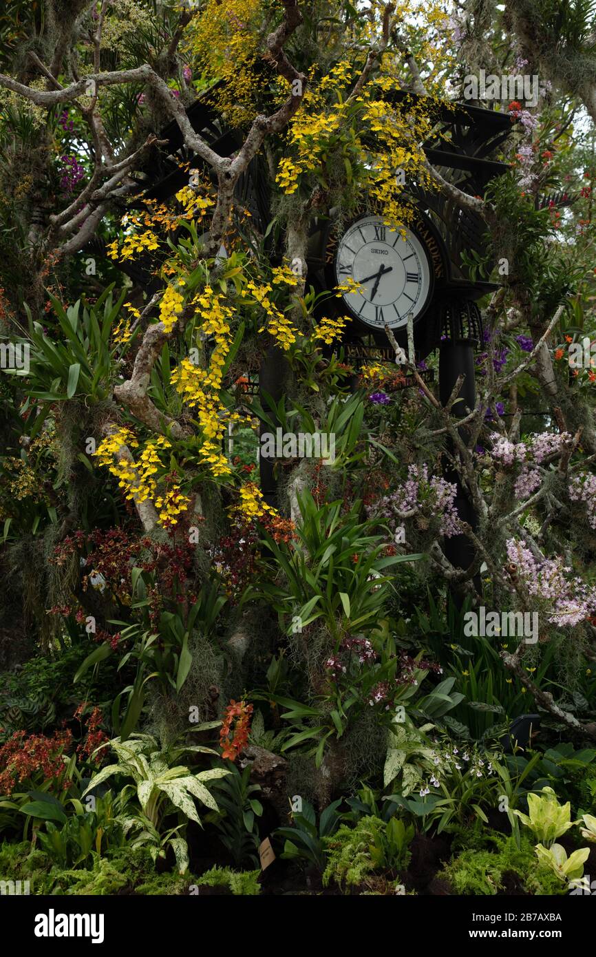 Tour de l'horloge vue dans le jardin botanique de Singapour. Banque D'Images