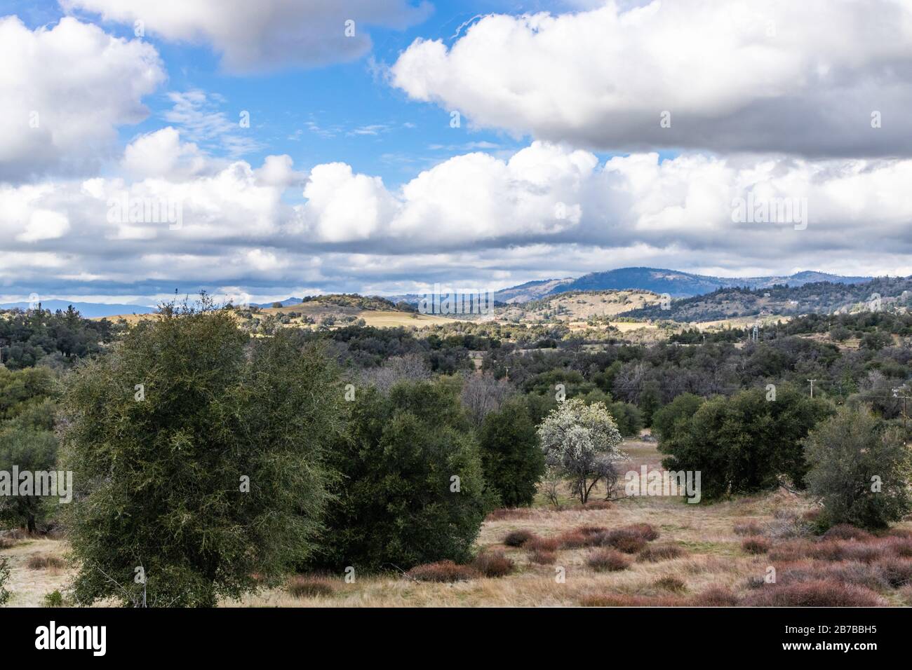 Nuages et brume sur les collines ondulantes au printemps avec le poirier en fleur, les chênes et le sarrasin côtiers vivants dans le paysage de Julian Californie Banque D'Images