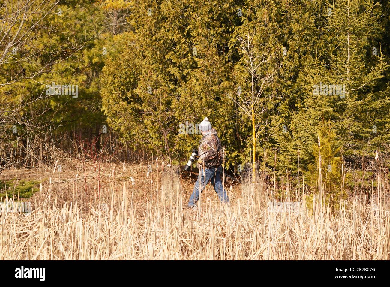 Guy fait de la photographie de la faune Banque D'Images