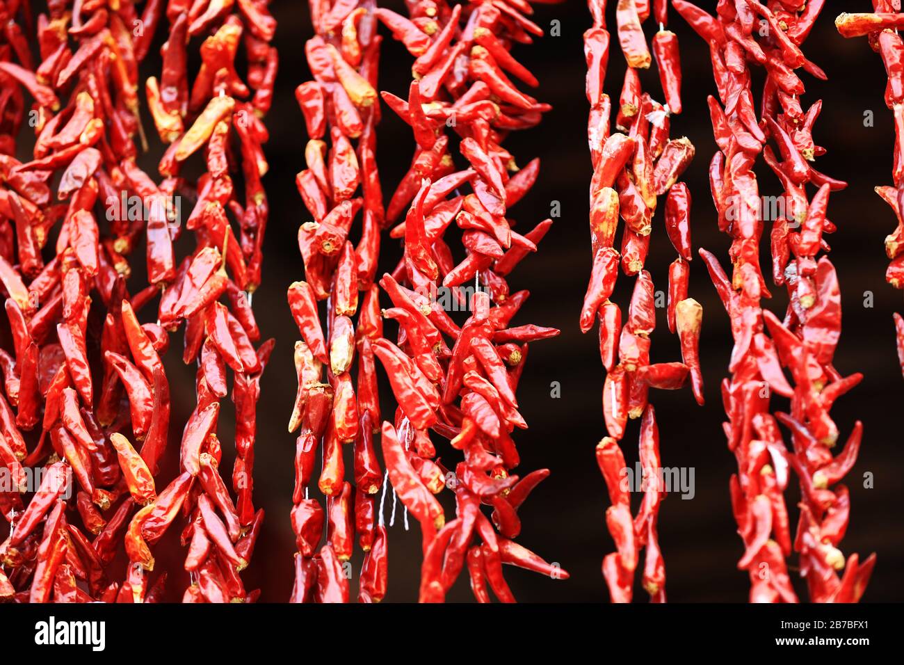 Des piments rouges accrochent au mur Banque D'Images