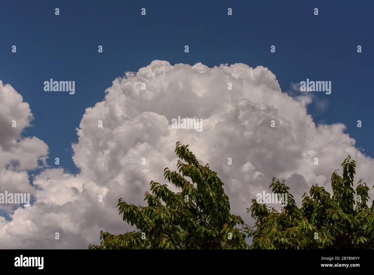 Cumulonimbus vue formation dans le ciel pendant la saison estivale en Patagonie, Argentine Banque D'Images