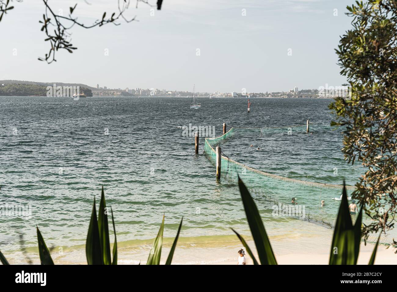 Le réseau de requins à Shark Beach, Nielsen Park, Vaucluse. Banque D'Images