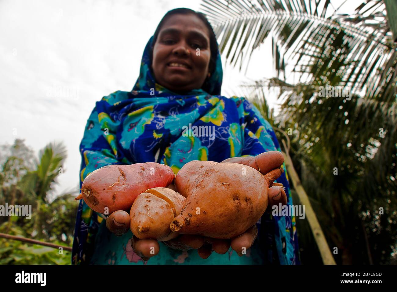 Les femmes bangladaises sont le principal fournisseur de nourriture pour la famille. Ils sont très travailleurs durs. Banque D'Images