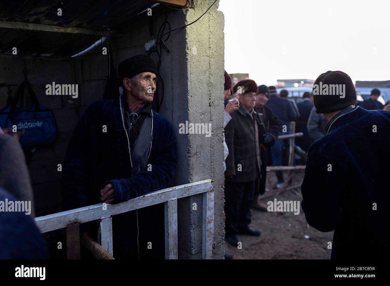 Scène sur le marché du bétail du matin dans un village près de Boukhara, Ouzbékistan Banque D'Images