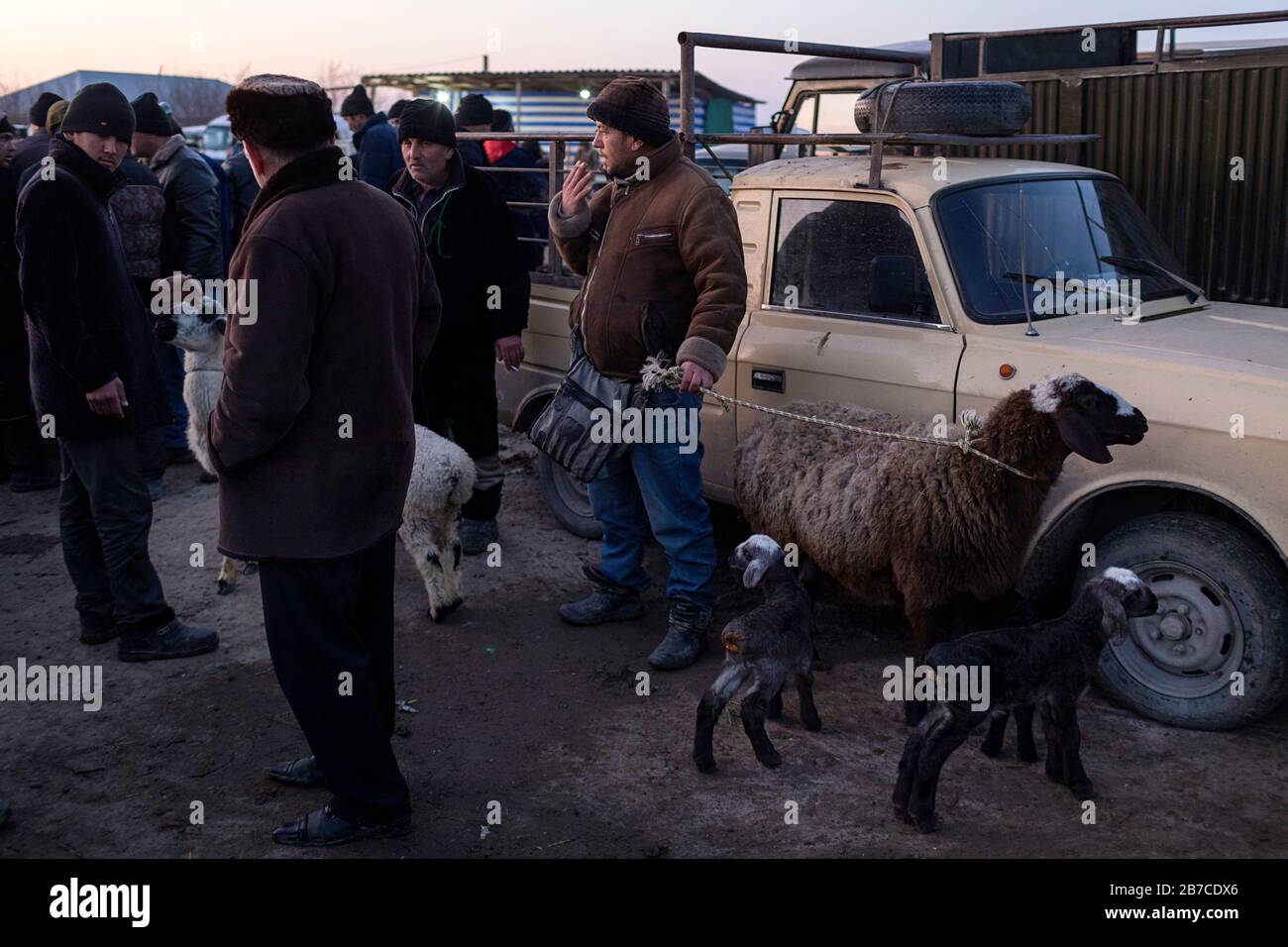 Scène hebdomadaire du marché du bétail du matin dans un village près de Boukhara, Ouzbékistan Banque D'Images