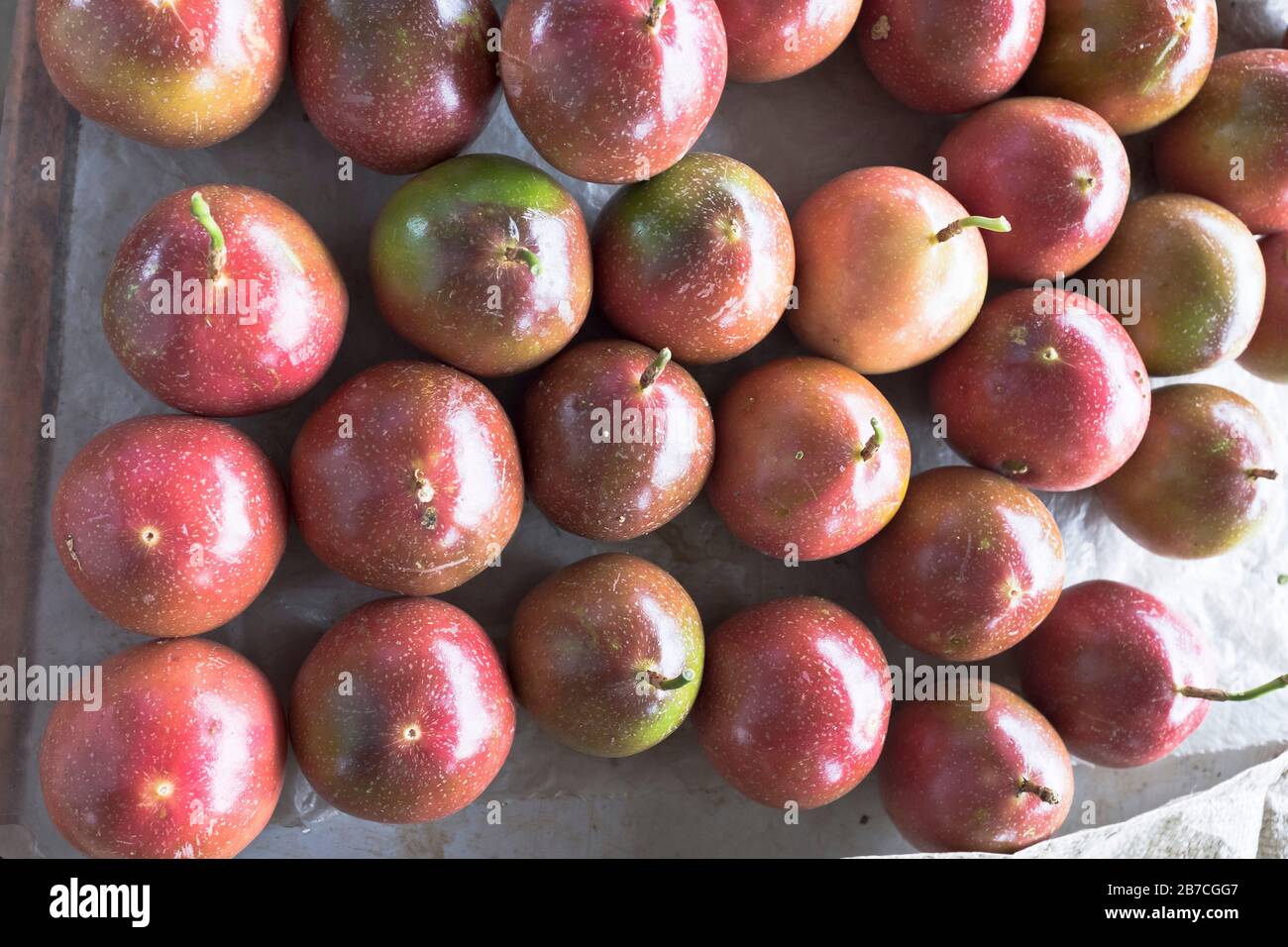 dh PNG marché ALOTAU PAPOUASIE NOUVELLE GUINÉE Passion marchés de fruits étalage de produits briquets Banque D'Images