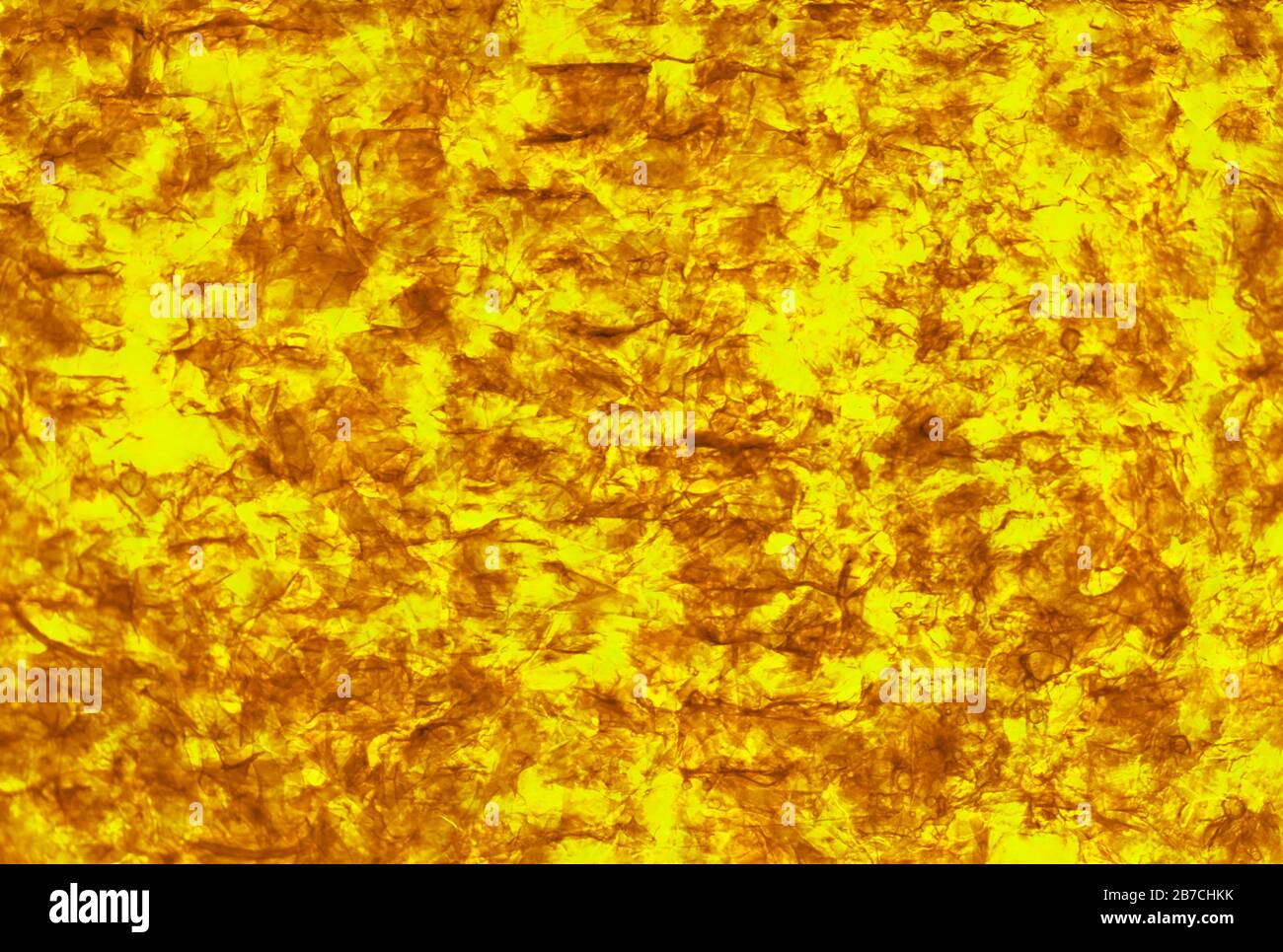 Texture jaune et marron Banque de photographies et d’images à haute — free download