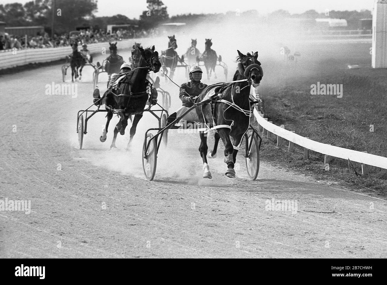Années 1980, historique, courses attelées ou parfois connues sous le nom de courses de poney et de pièges, photo montre des compétiteurs chevauchant 'sulky', une petite charrette à deux roues attachée à un cheval, Angleterre, Royaume-Uni. Banque D'Images