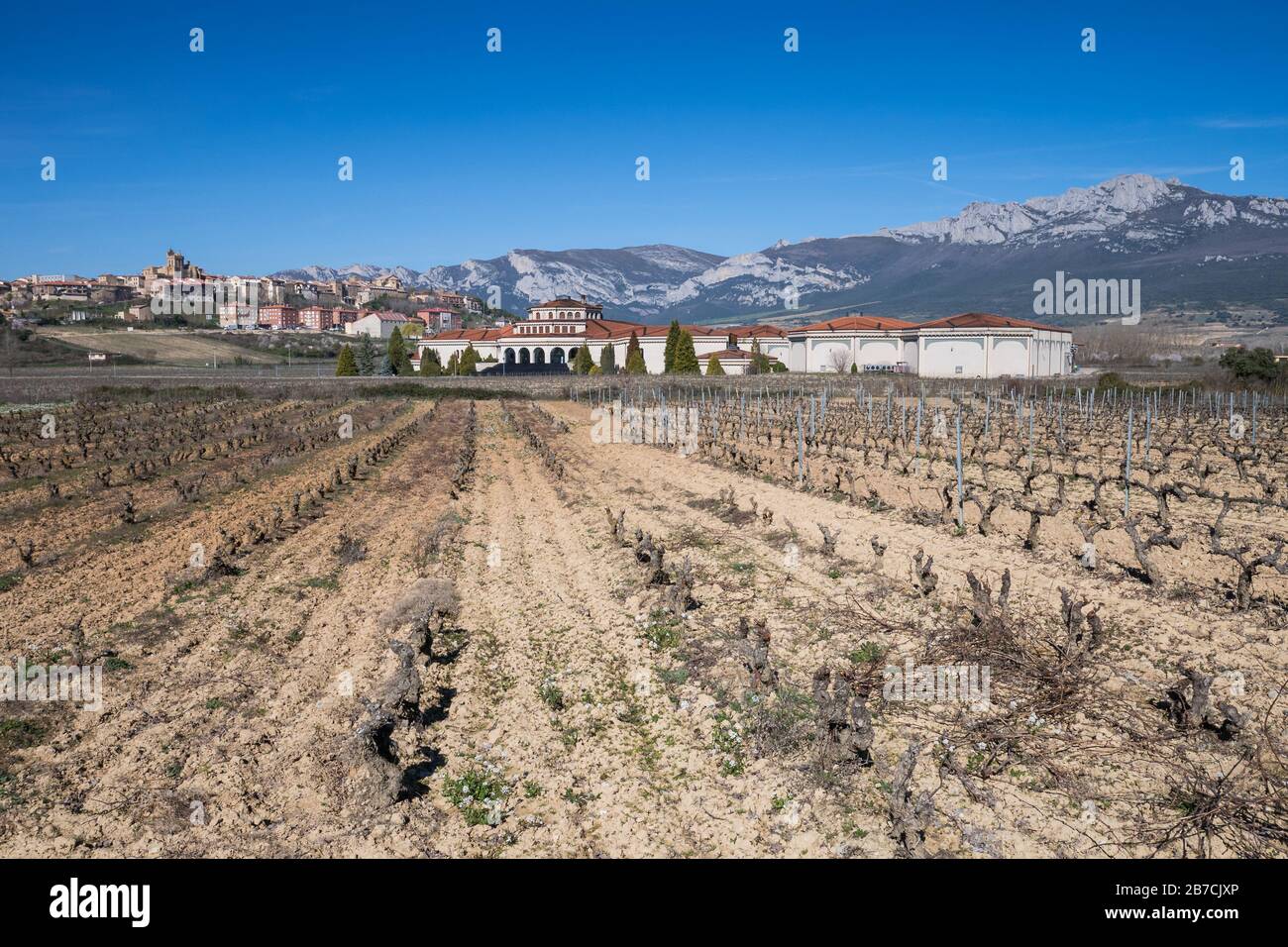 Vue sur les vignobles et le domaine viticole de Campillo, en arrière-plan la ville de Laguardia Banque D'Images