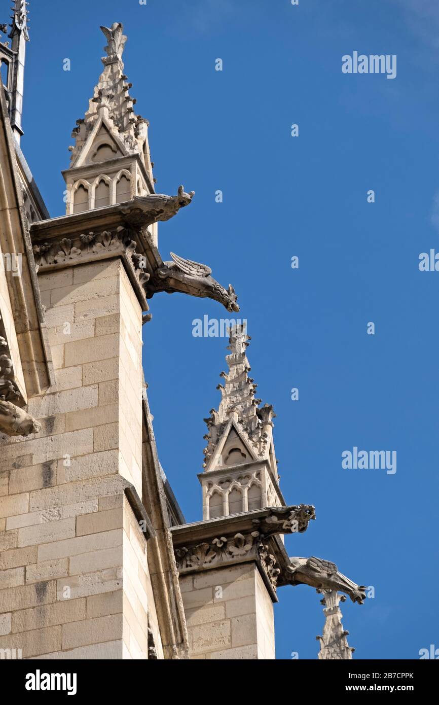 Près des gargouilles de la cathédrale notre Dame de Paris, France, Europe Banque D'Images