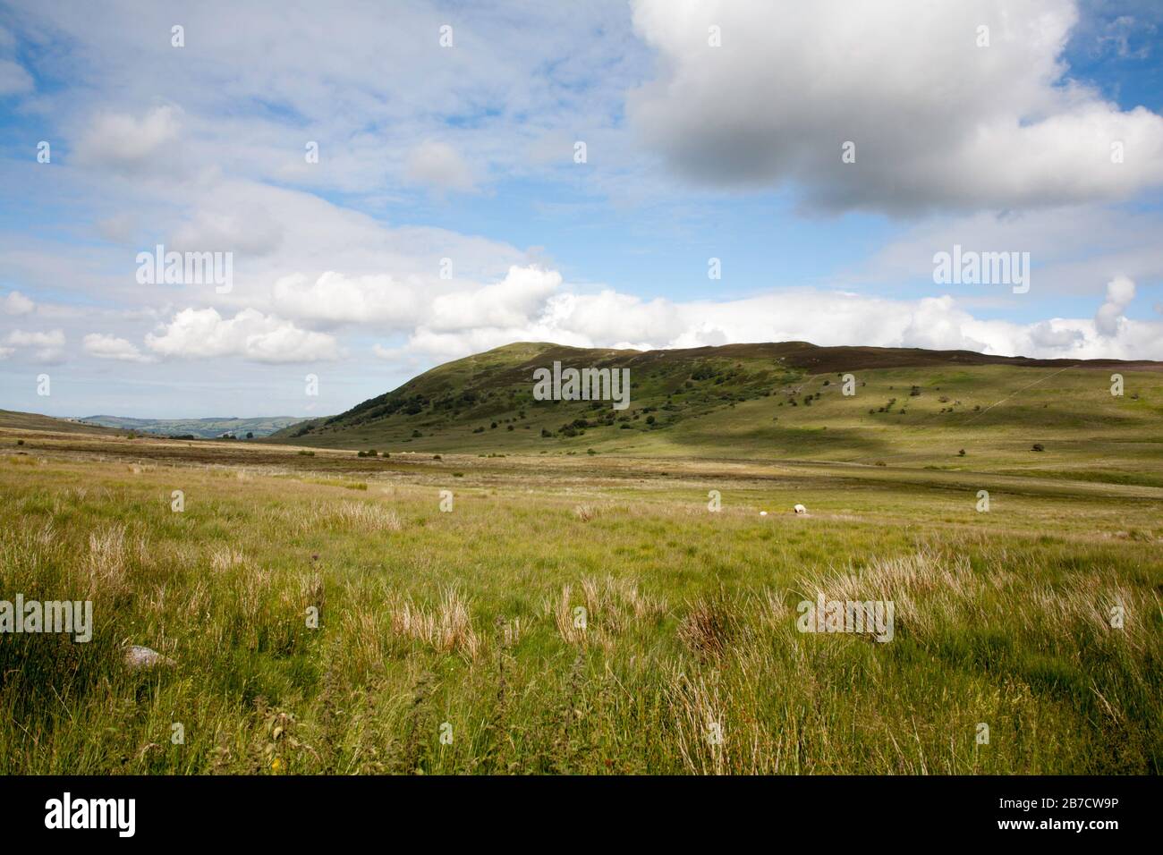 Moel Eilio depuis le chemin menant au réservoir de Llyn Eigiau Sous Carnedd Llewelyn, au-dessus de Conwy Valley Snowdonia, au nord du pays de Galles Banque D'Images