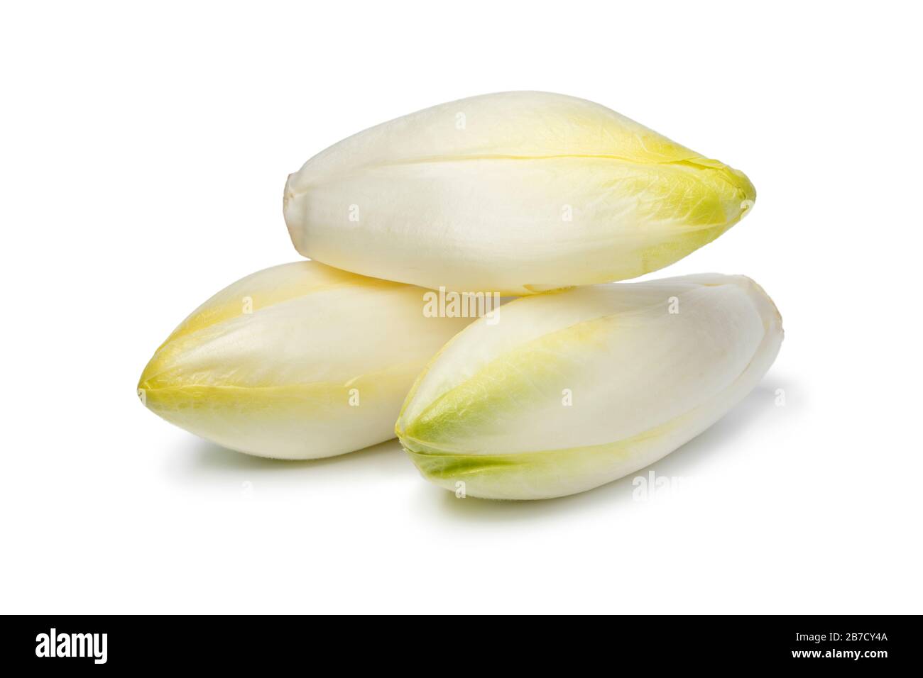 Tas de tout frais brut belge endive isolé sur fond blanc Banque D'Images