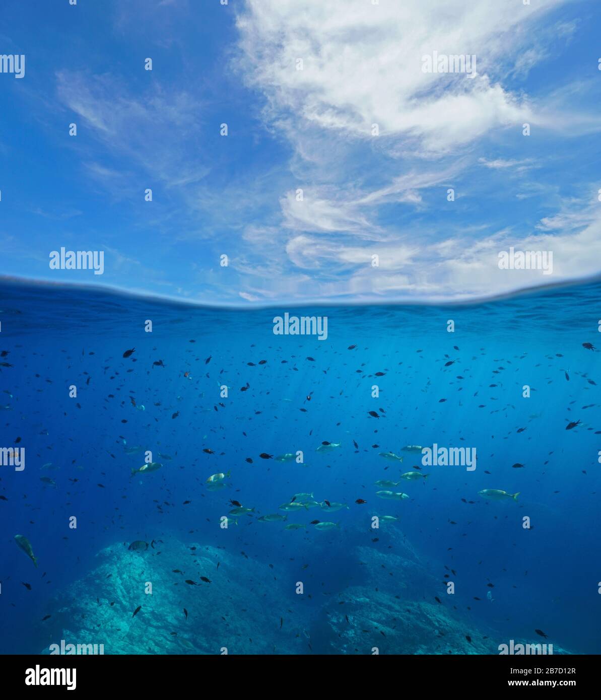 Marins de Méditerranée, de nombreux poissons sous l'eau et ciel bleu avec des nuages, vue fractionnée sur et sous la surface de l'eau, la France, l'Occitanie Banque D'Images