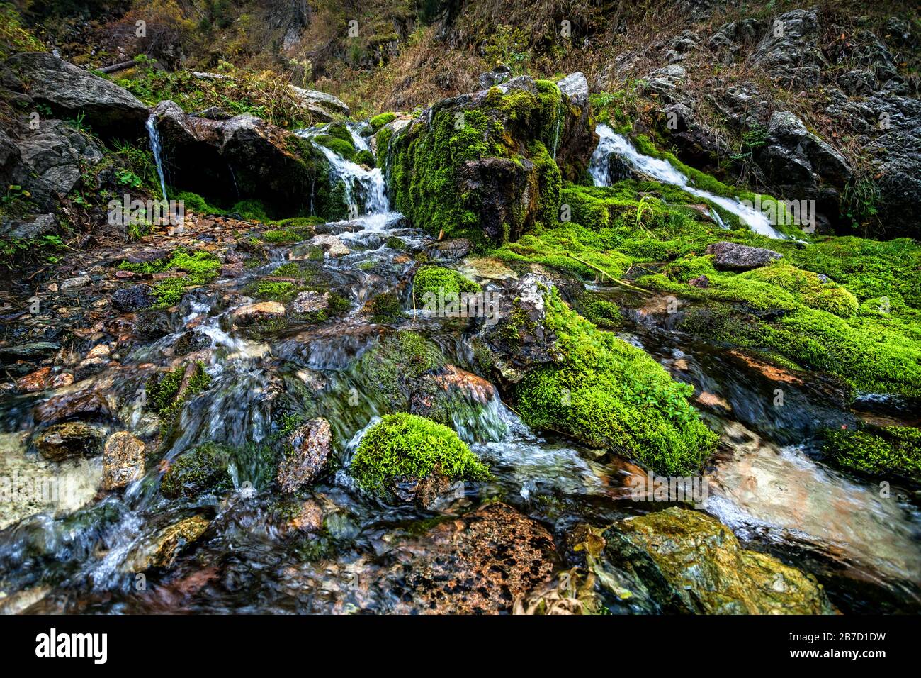 Cascade et pierre avec mousse dans la forêt de montagne au Kazakhstan, en Asie centrale Banque D'Images