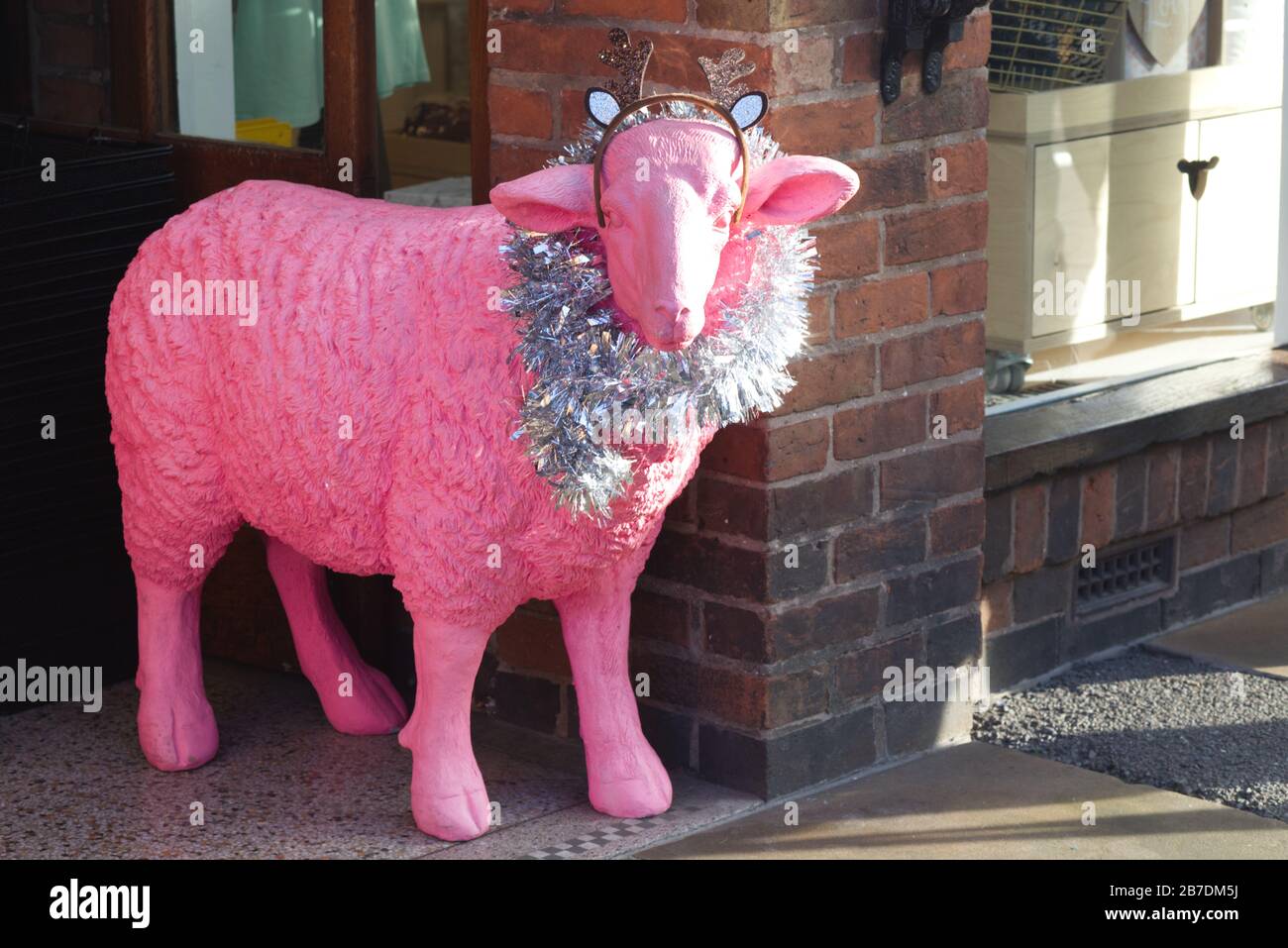 Statue d'un mouton rose vêtu pour Noël Banque D'Images