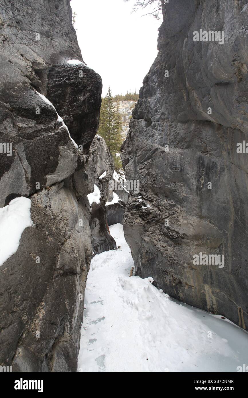 Canyon du Jura en Alberta Banque D'Images