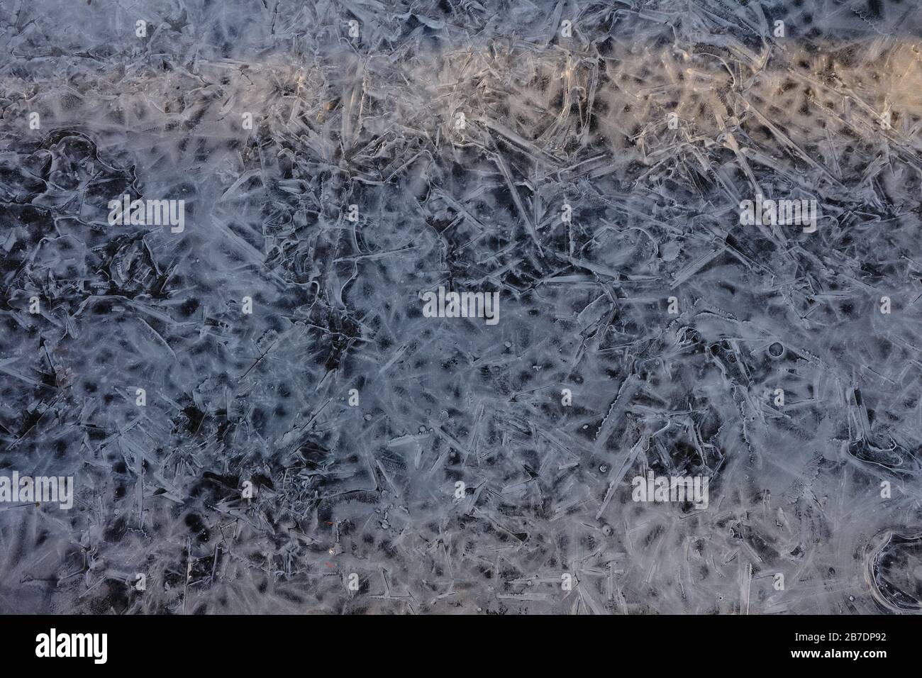Motifs dans une flaque de glace gelée à la base d'un arbre dans le parc local. Ottawa (Ontario), Canada. Banque D'Images