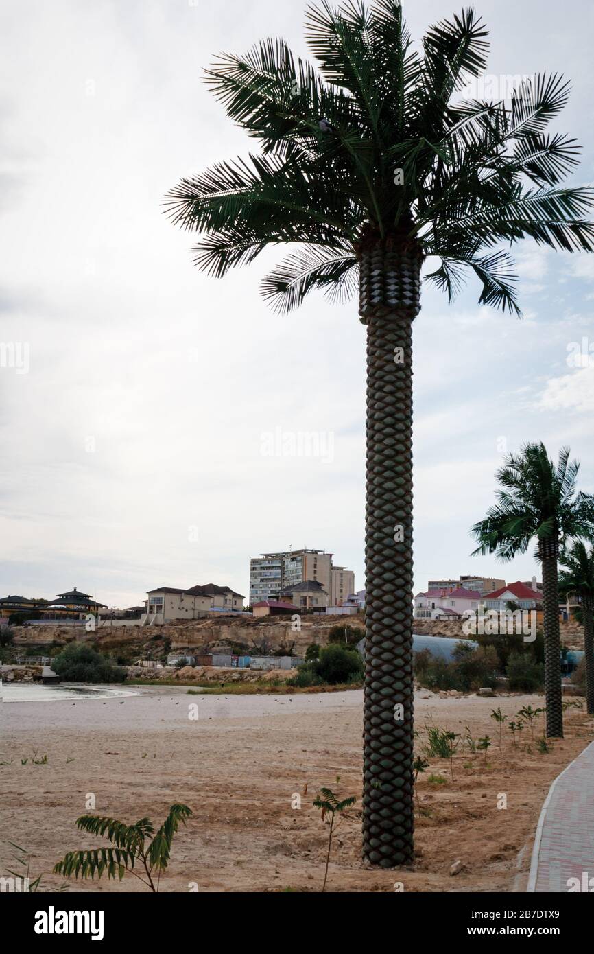 Palmier artificiel contre le ciel. Kazakhstan. Aktau. 09 octobre 2019 année. Banque D'Images