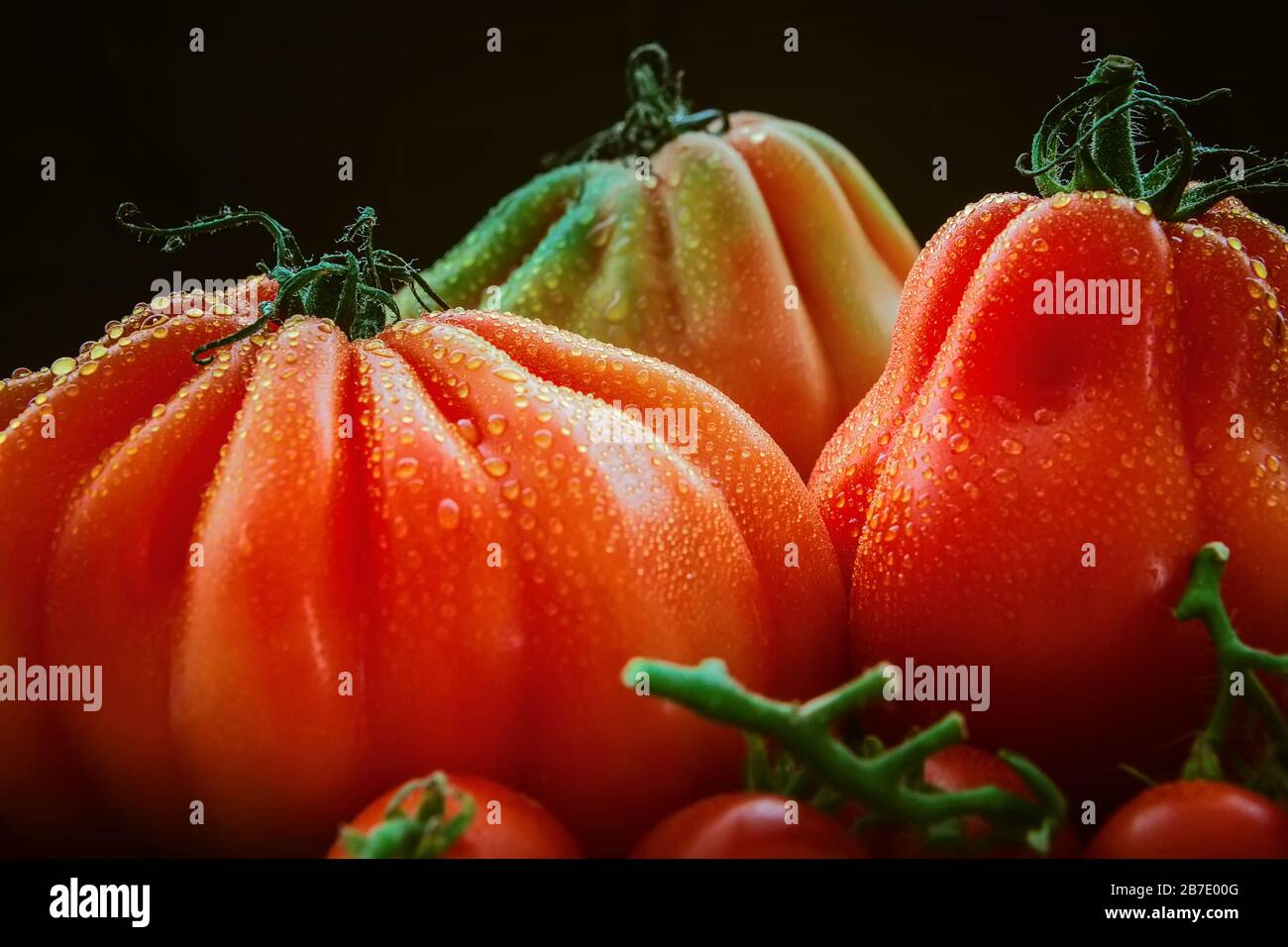 de belles tomates mûres ont entendu des gouttes d'eau, gros plan Banque D'Images