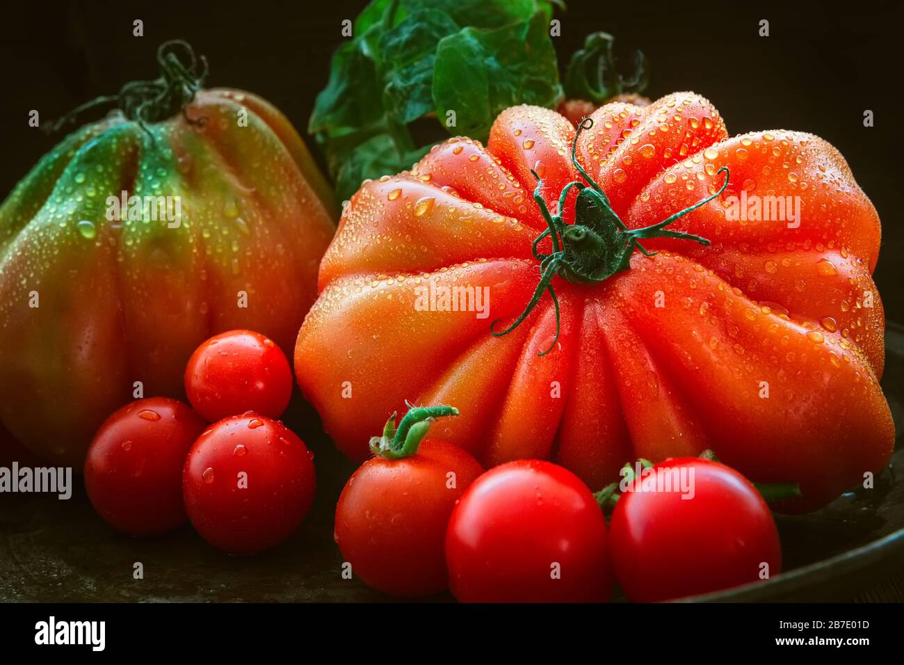 de belles tomates mûres ont entendu des gouttes d'eau, gros plan Banque D'Images