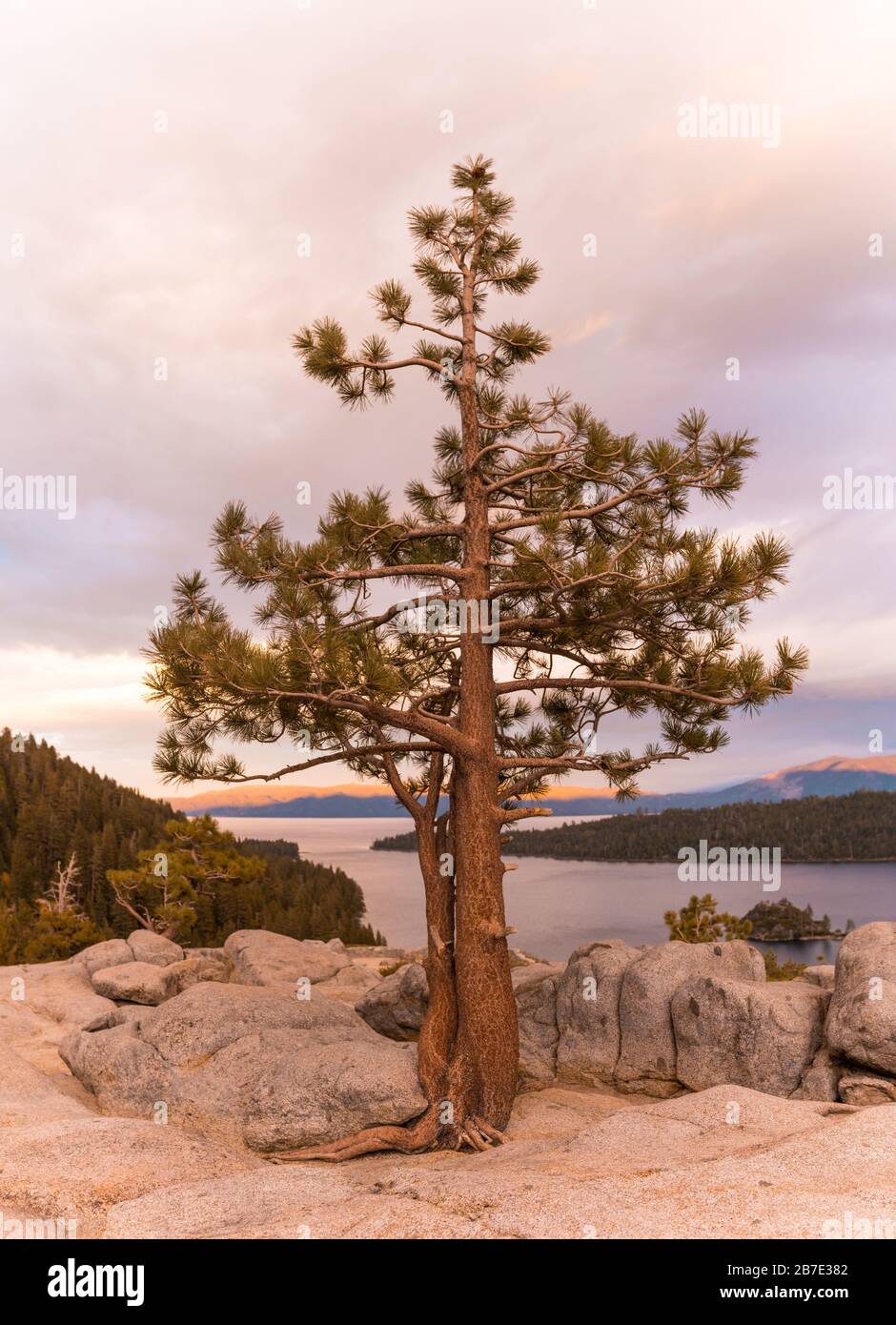 Coucher de soleil sur un arbre qui pousse du rocher au point de vue du parc national d'Emerald Bay dans le lac Tahoe Banque D'Images