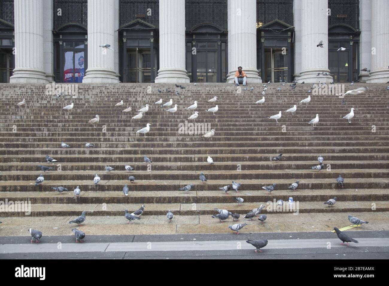 Les pigeons et un homme solitaire occupent les marches du bâtiment classique de la poste américaine sur la 8ème Avenue et la 33ème rue à Manhattan. Le bâtiment James A. Farley est le principal bâtiment des services postaux des États-Unis à New York. Il est situé à Midtown Manhattan et a été construit avec l'original Pennsylvania Station en 1912. Banque D'Images