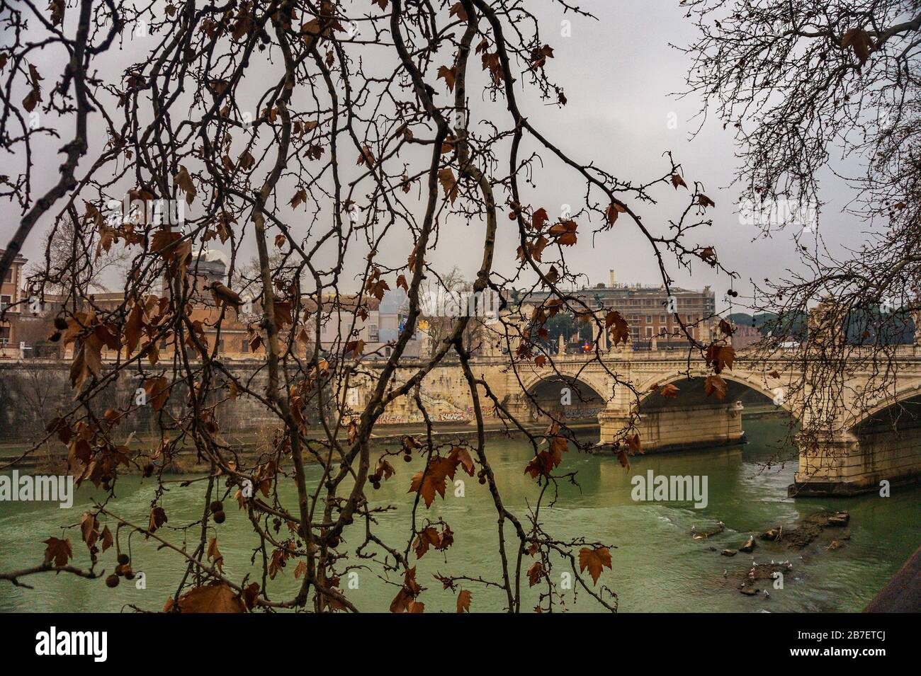 Paysage d'hiver dans la ville de Rome avec vue sur la rivière Tiber à travers les branches. Rome, Italie, Europe Banque D'Images