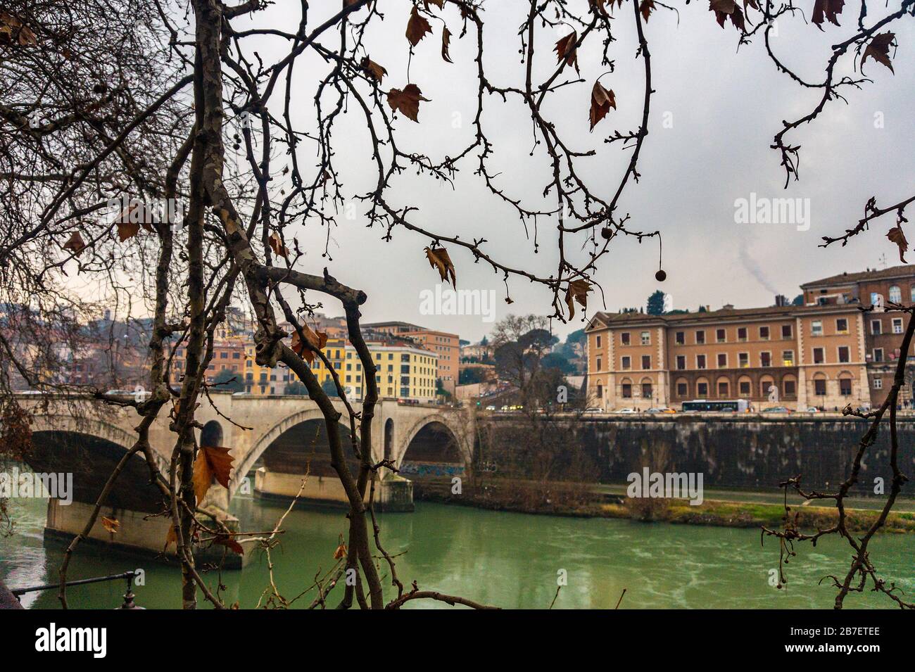 Paysage d'hiver dans la ville de Rome avec vue sur la rivière Tiber à travers les branches. Rome, Italie, Europe Banque D'Images