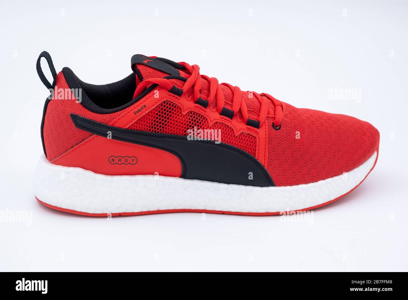 La chaussure de course pied Puma rouge vif est isol e sur fond