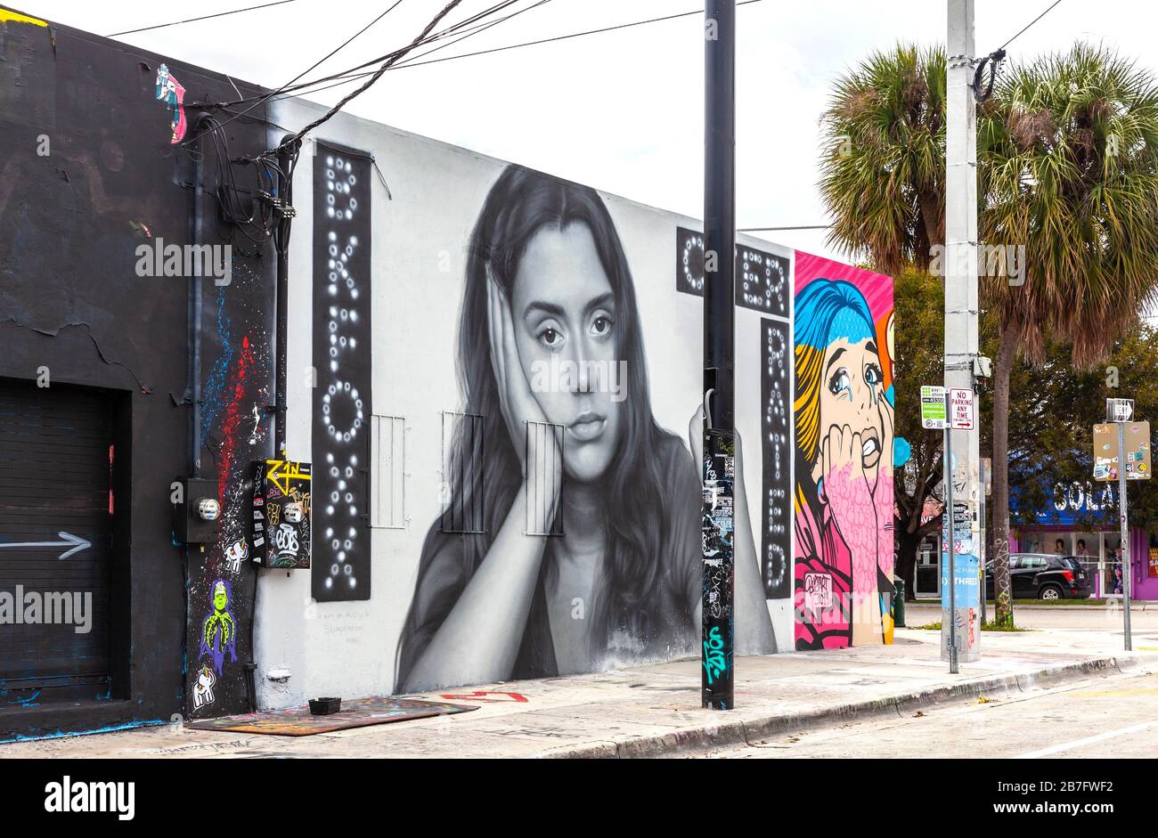 Murs extérieurs décorés de graffitis artistiques, Wynwood Art District, Miami, Floride, Royaume-Uni. Banque D'Images