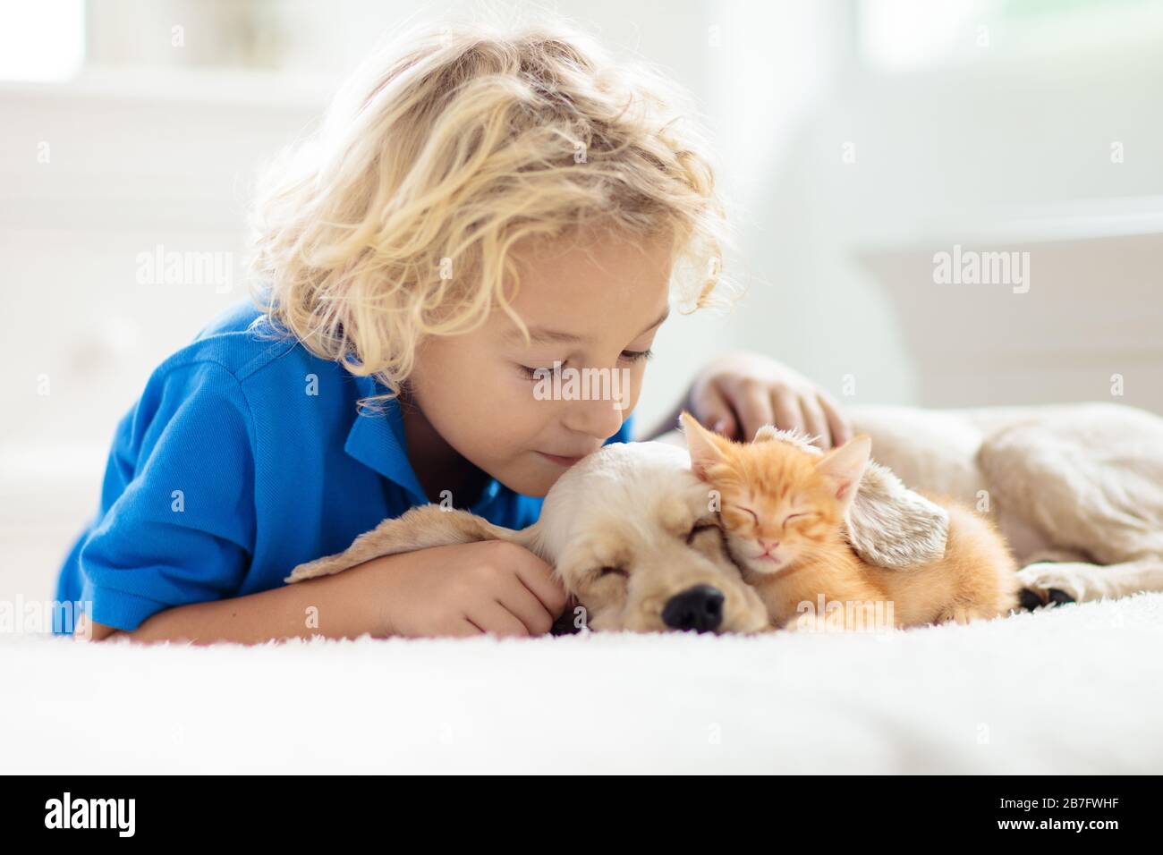 Enfant Jouant Avec Bebe Chien Et Chat Les Enfants Jouent Avec Le Chiot Et Le Chaton Un Petit Garcon Et Un Epagneul Americain De Cocker Sur Le Lit A La Maison Enfants