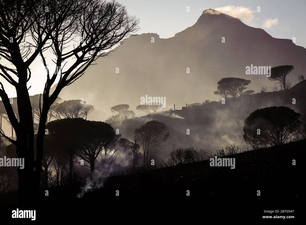 Les pentes de la montagne de la Table du Cap et du célèbre monument d'Afrique du Sud ont frappé le matin après un feu de forêt Banque D'Images