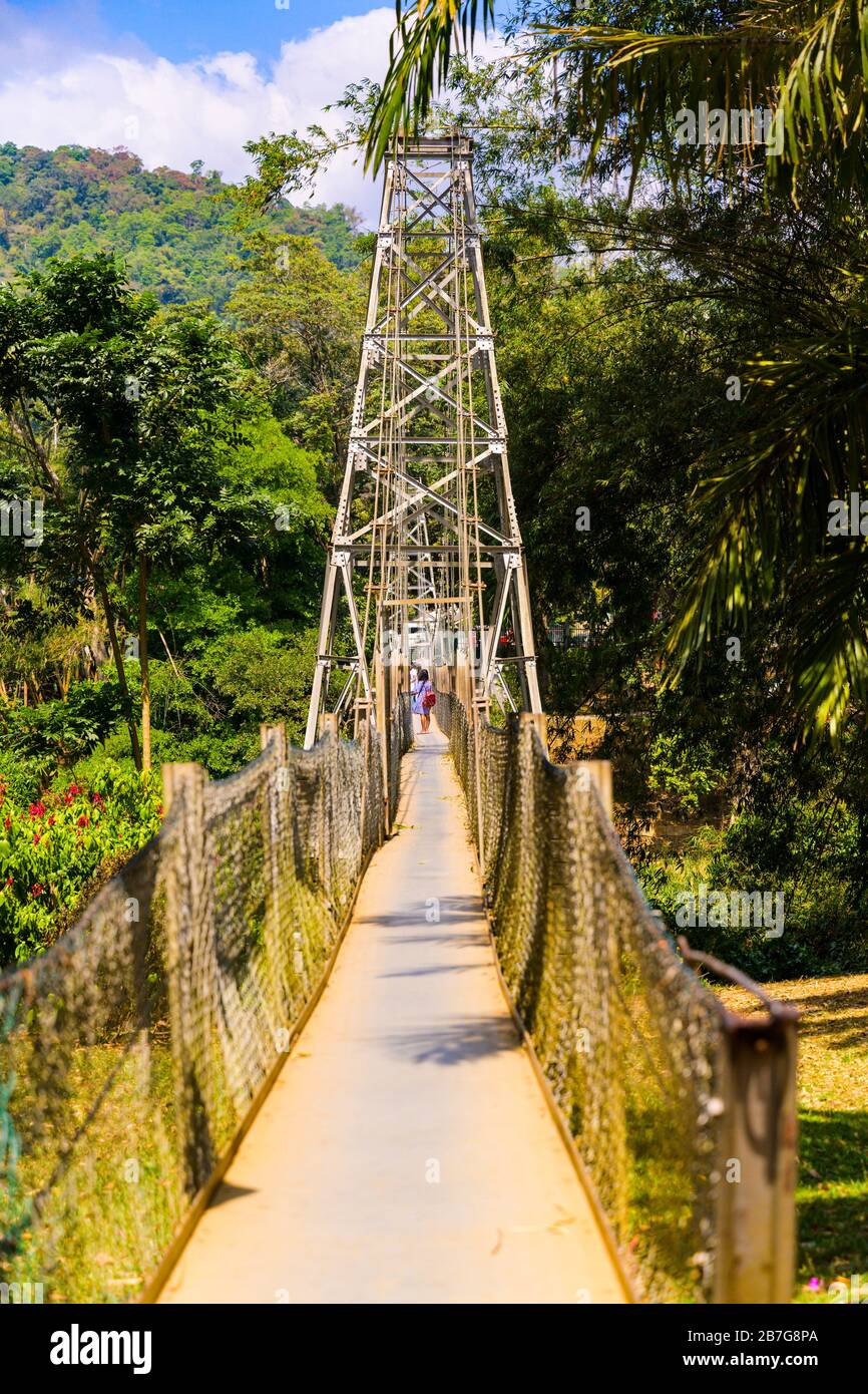 Asie du Sud Sri Lanka Royal Botanical Gardens Perradeniya a commencé 1371 pont suspendu pour piétons du roi Wickramabahu Banque D'Images