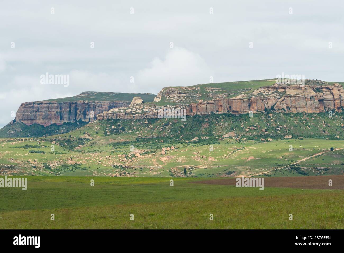 Vue sur le paysage des montagnes de Drakensberg en été vert et entouré de terres agricoles Banque D'Images
