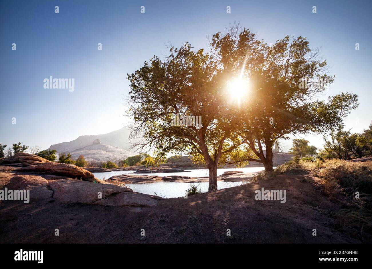 Les arbres avec soleil rougeoyant près du lac de montagnes du désert au volcan éteint Bektau dans l'Ata Kazakhstan Banque D'Images