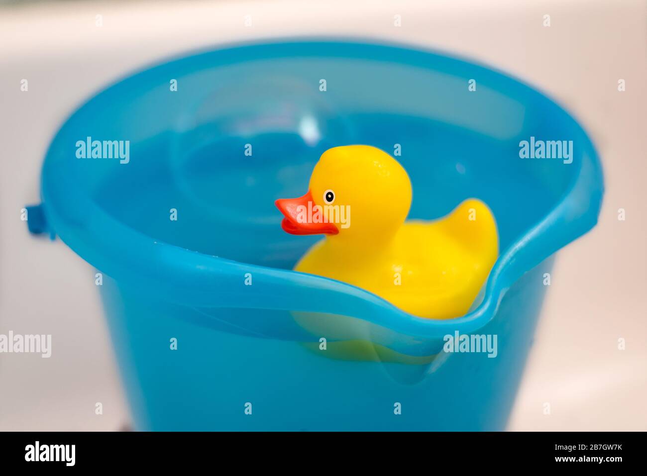 animal photo salle de bain art Encadrée Imprimer-Caoutchouc Canards Bobbing sur l'eau 