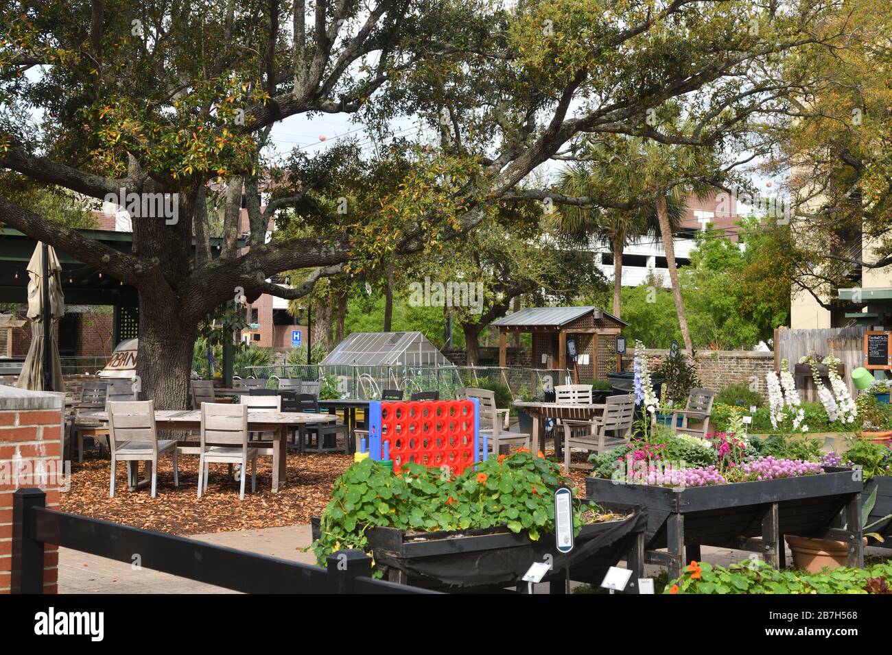 Urban Garden utilise de nombreuses ressources, y compris des puniques, des symboles scientifiques et des paramètres confortables et intéressants Banque D'Images